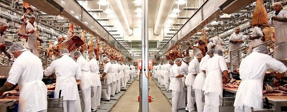 Белорусский концерн «Мясо-молочные продукты» ищет инвесторов